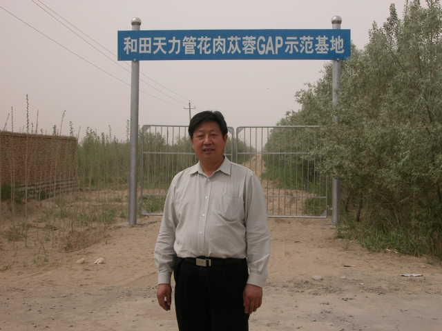 肉苁蓉种植基地