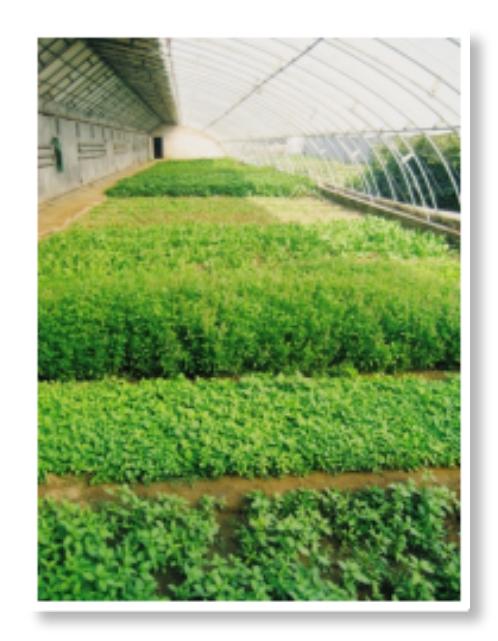 生态百草示范园